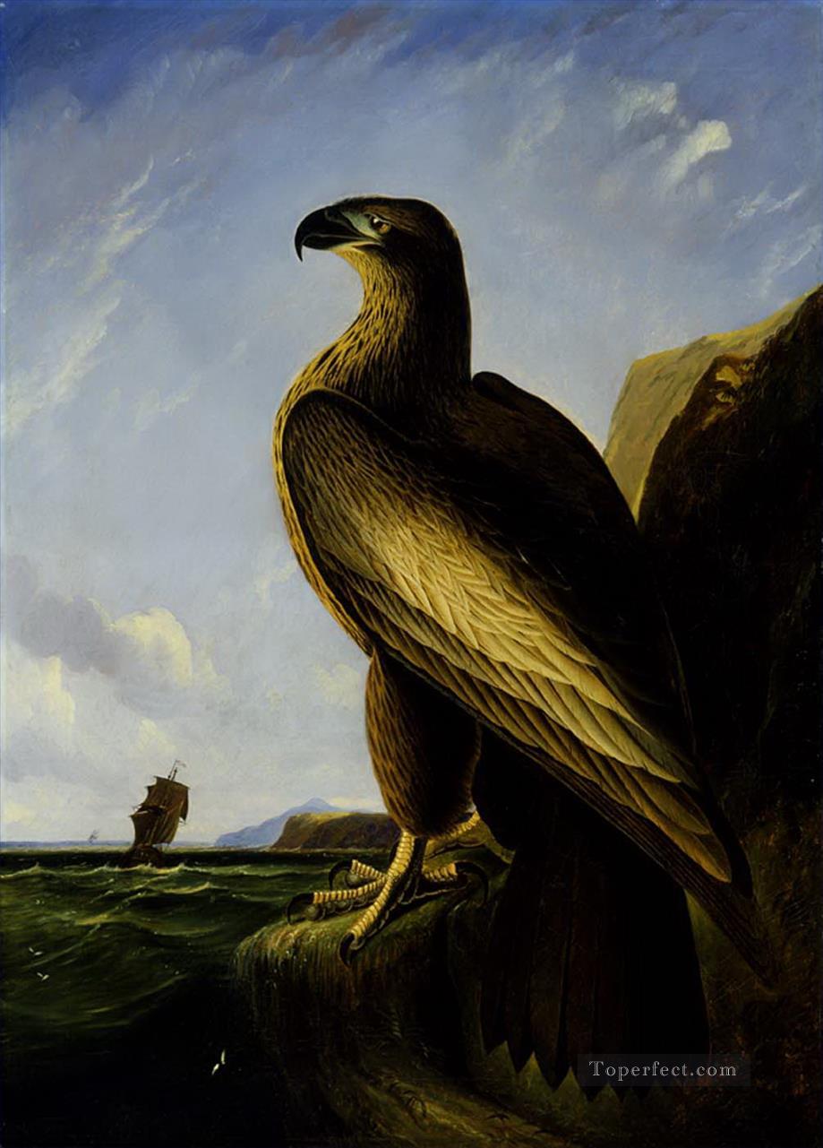 Washington Sea eagle Vögel Ölgemälde